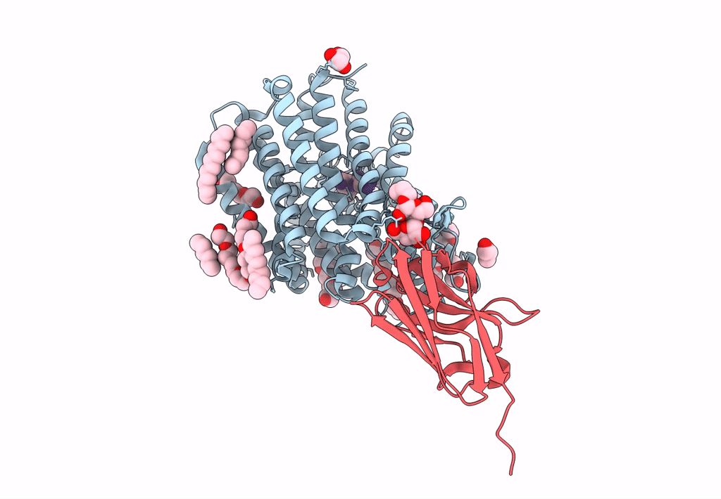 8B1J image