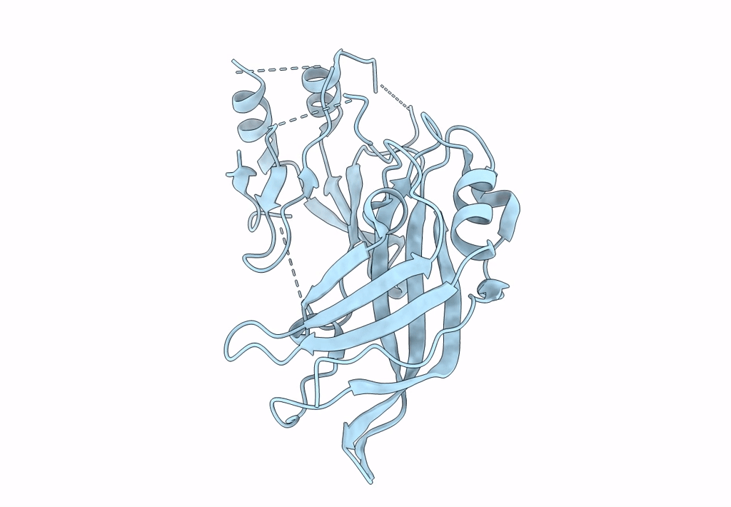 8B1P image