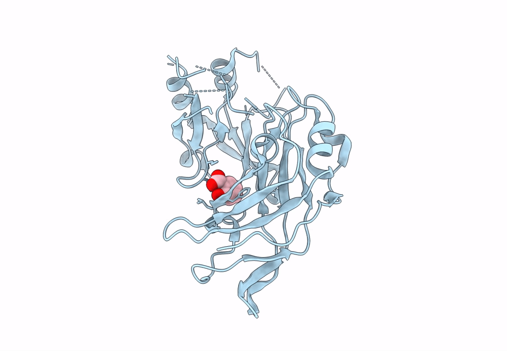 8B1S image