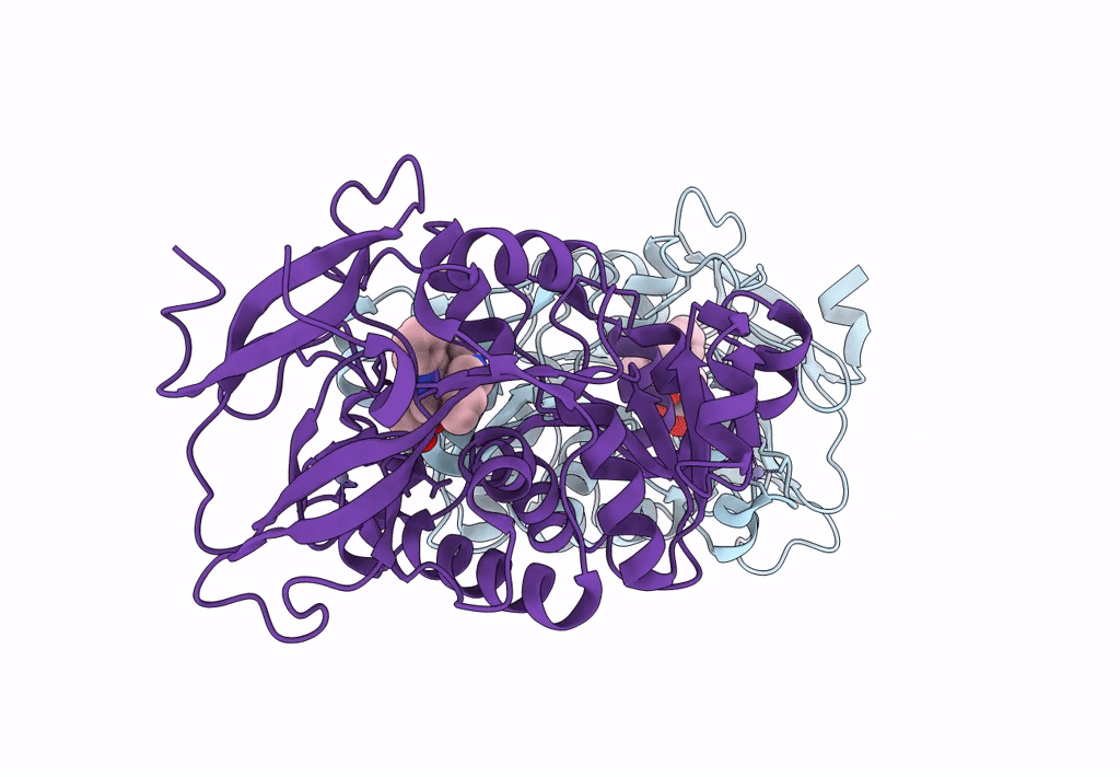 8B1V image