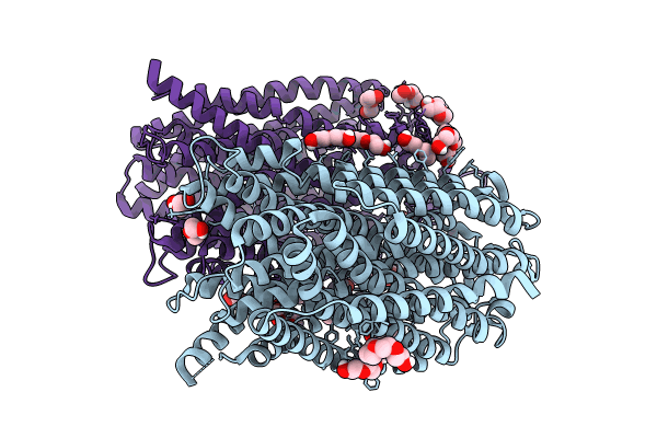 8B21 image