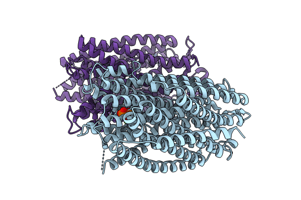 8B23 image