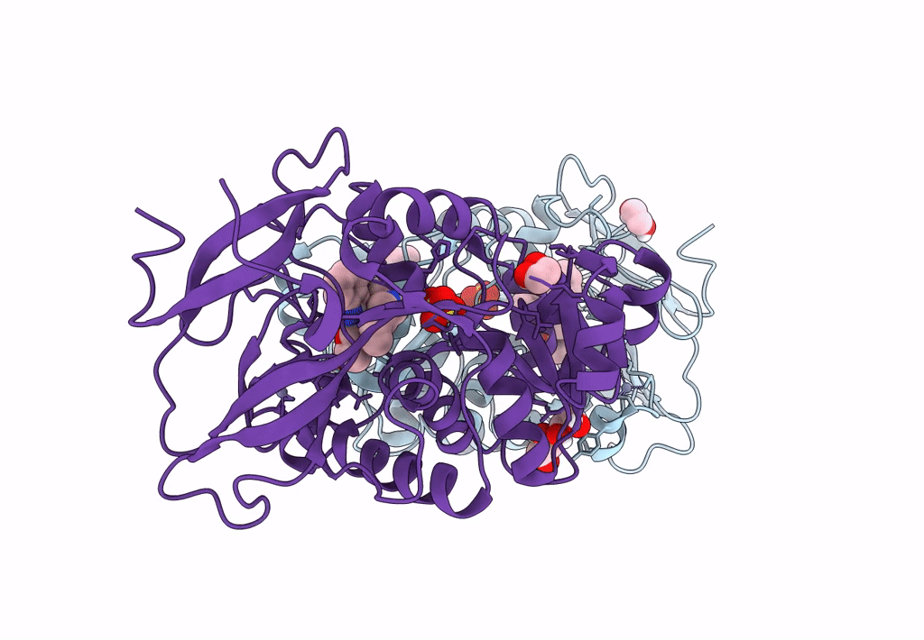 8B25 image