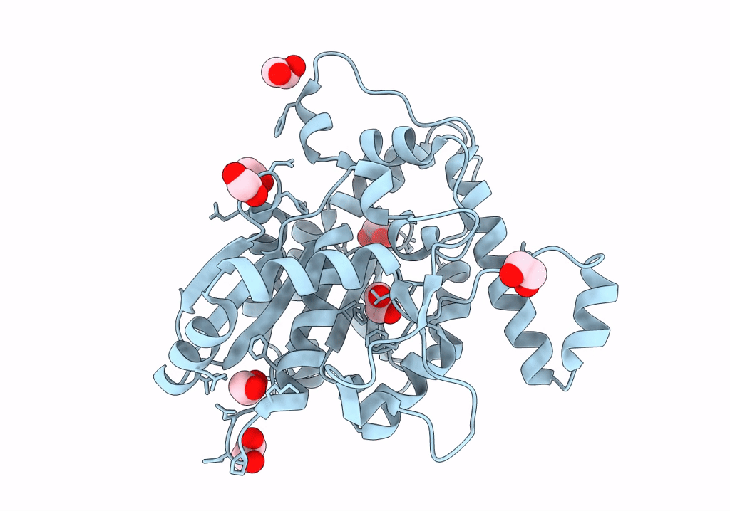8B28 image
