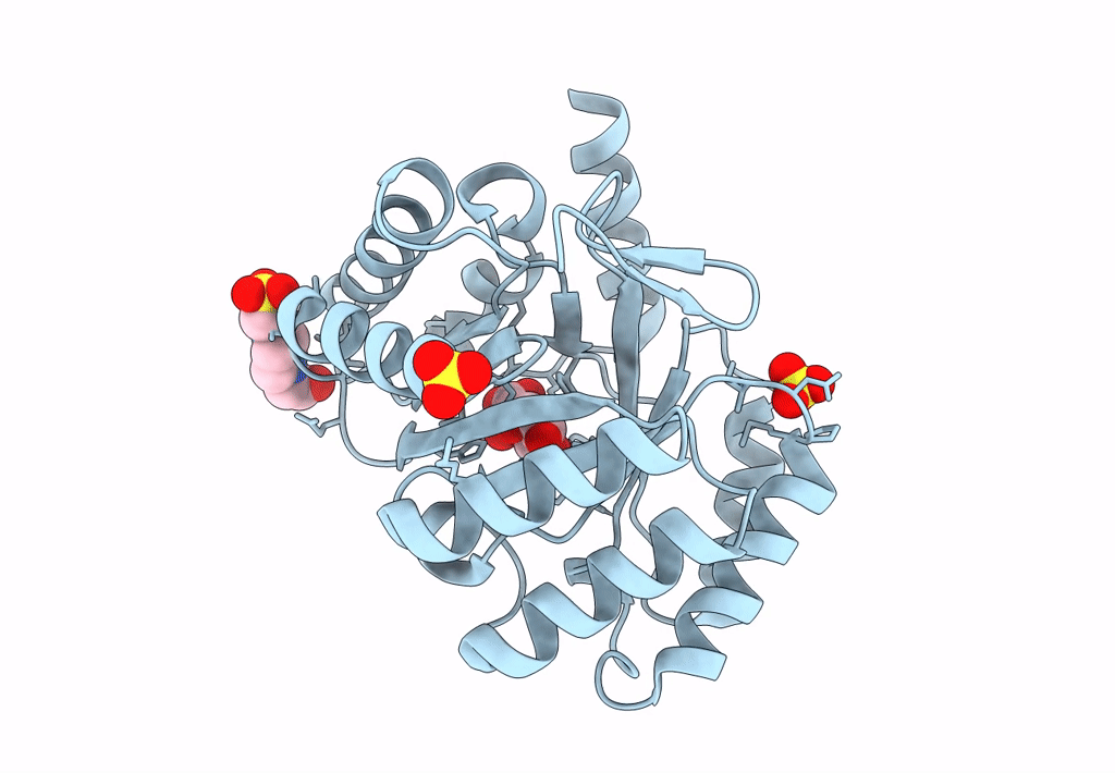8B2C image