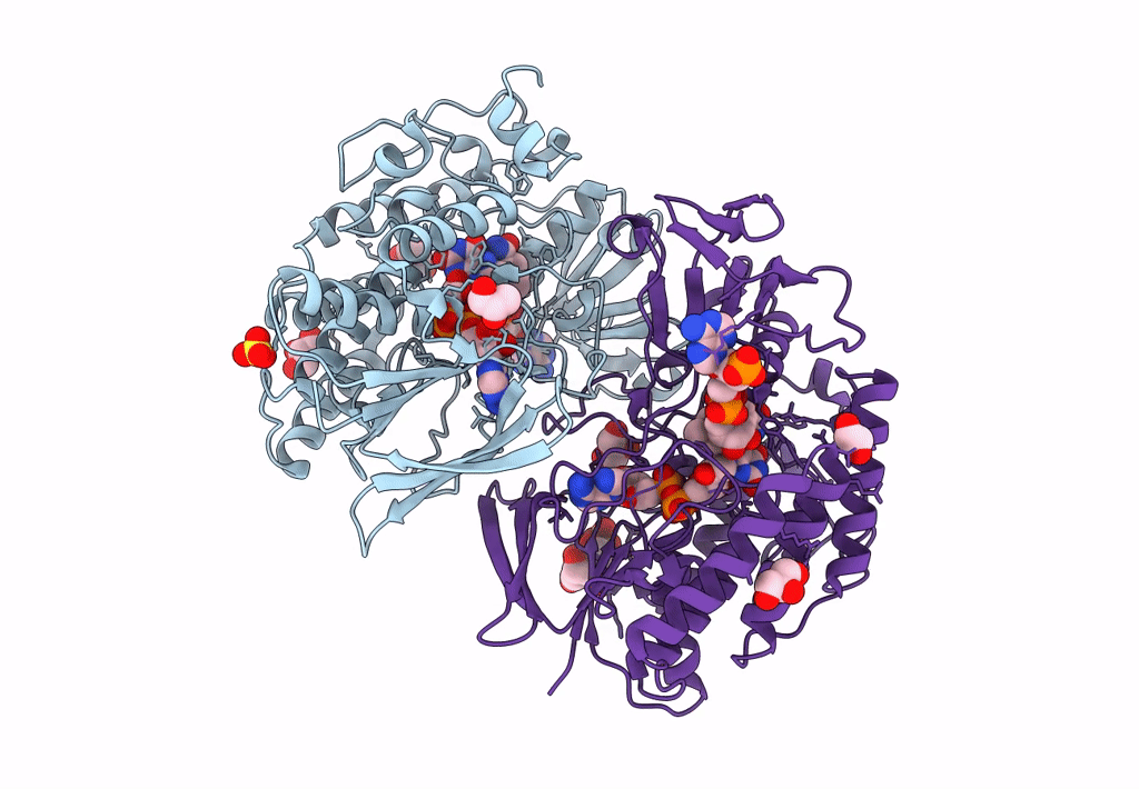 8B2D image