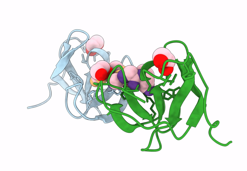 8B2F image