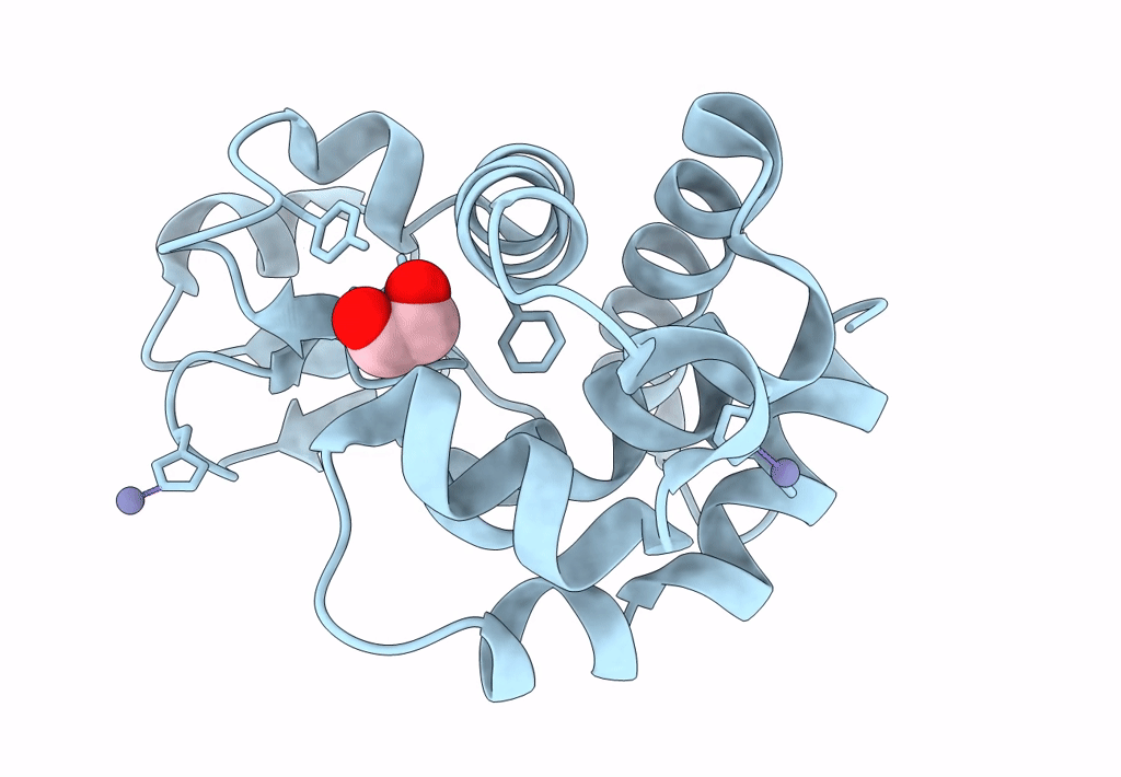 8B2H image