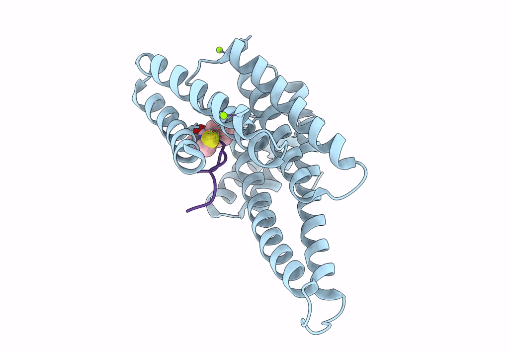 8B2I image