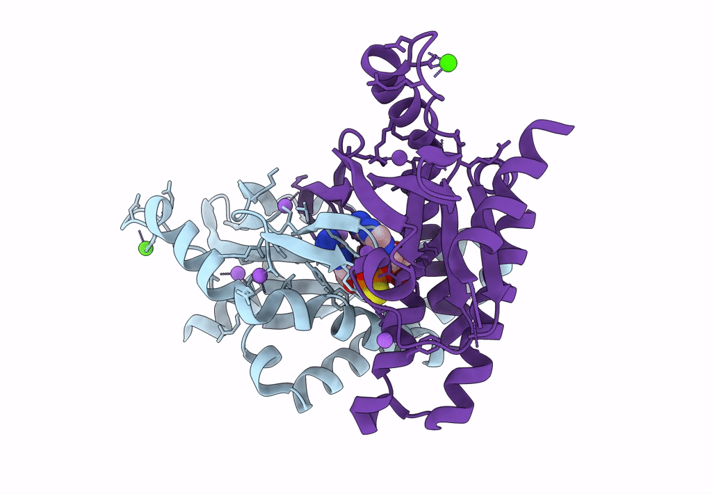 8B2J image