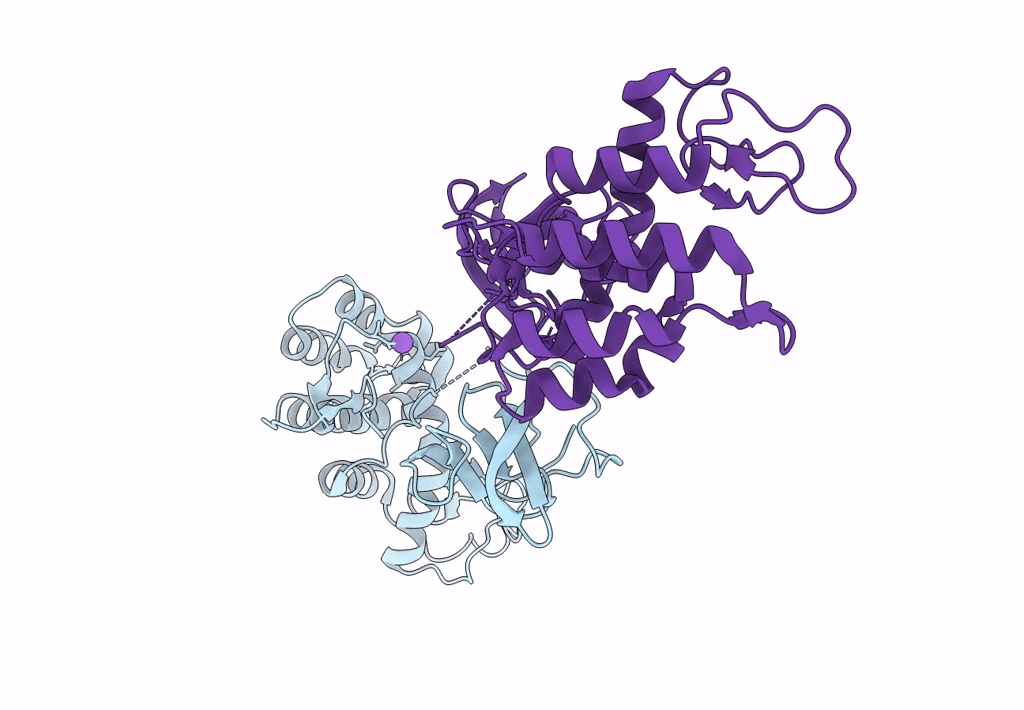8B2S image