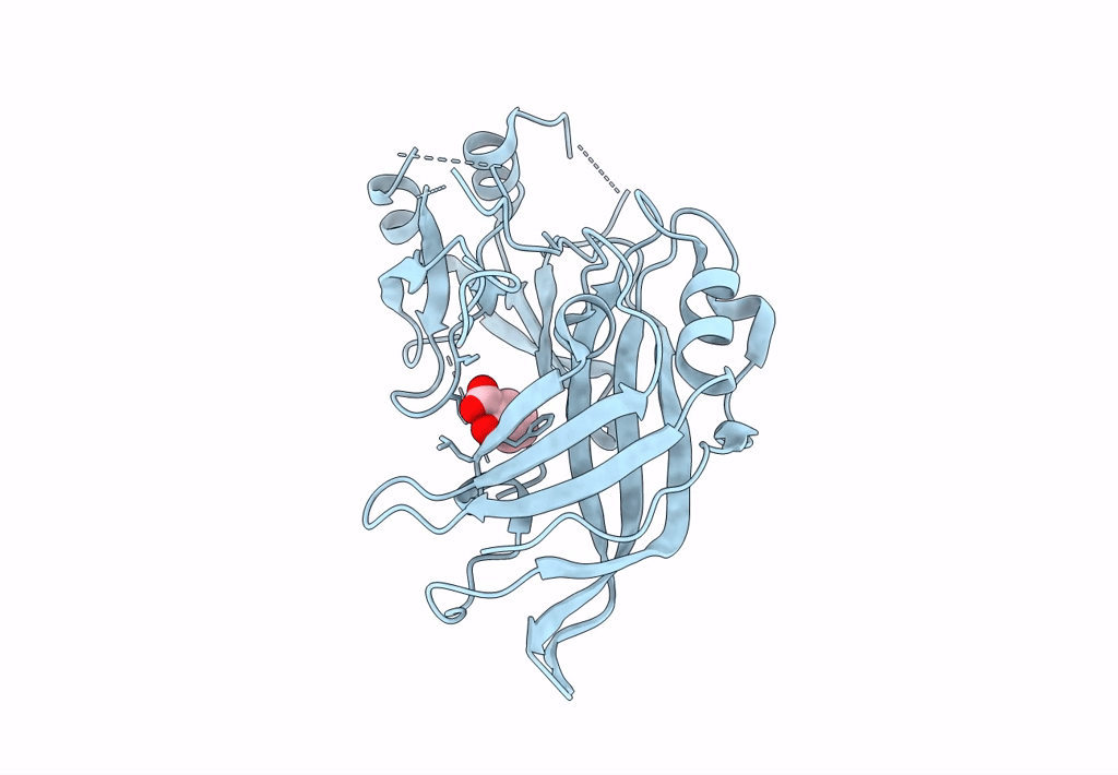 8B2U image