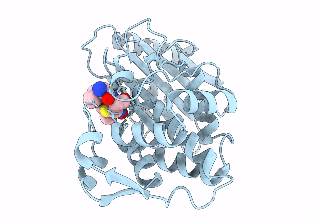 8B2W image