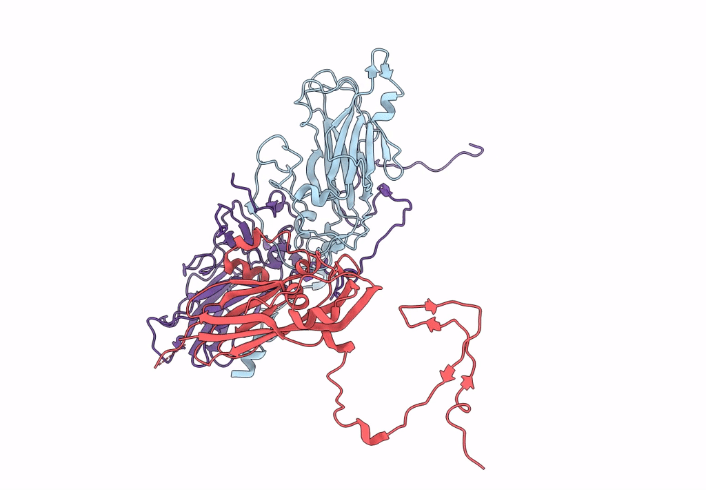 8B38 image