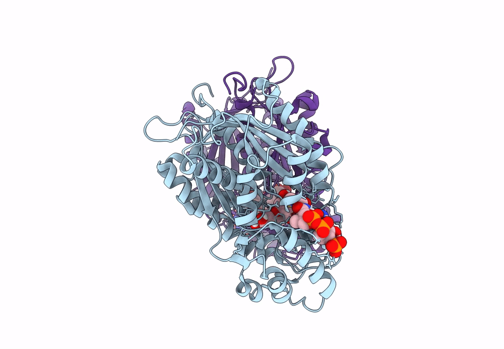 8B3C image