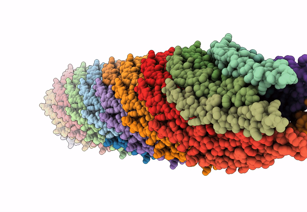 8B3Q image
