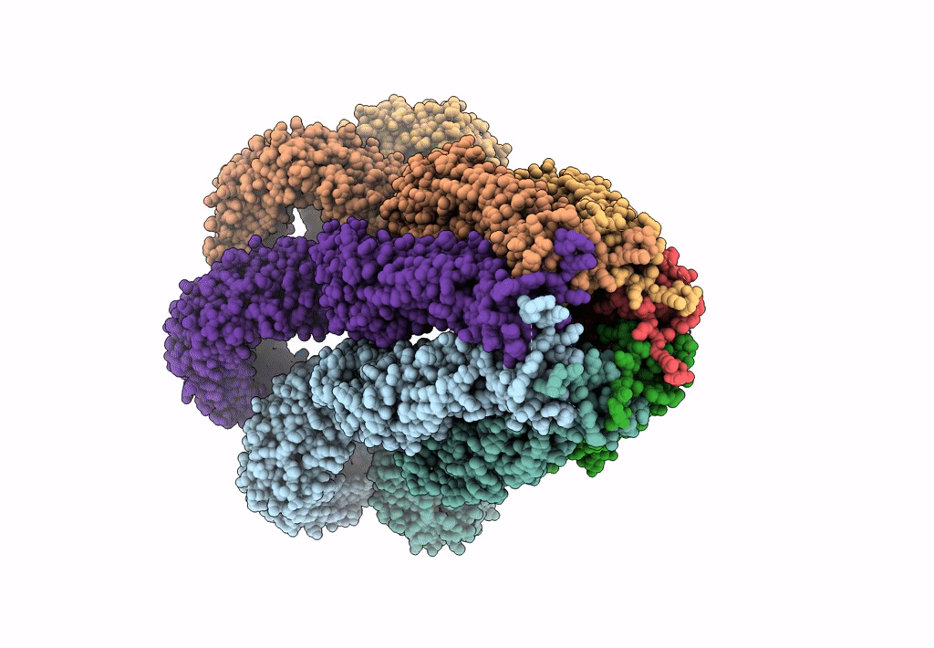 8B40 image