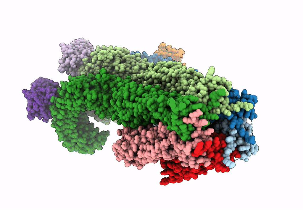 8B41 image