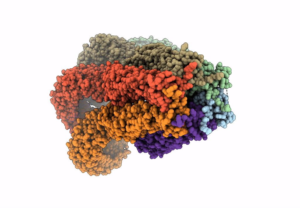 8B42 image