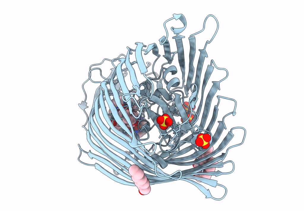 8B43 image