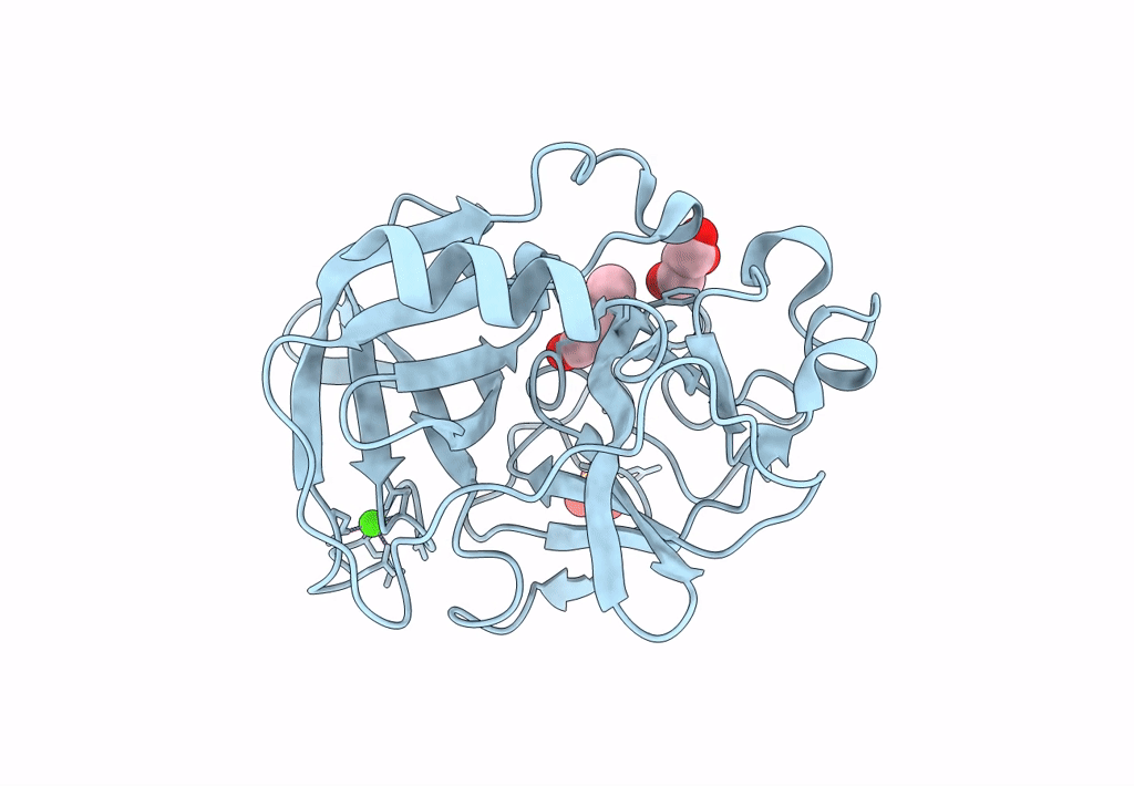 8B49 image