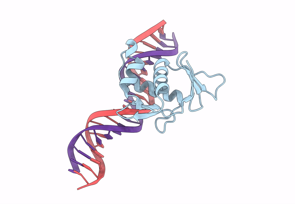 8B4C image