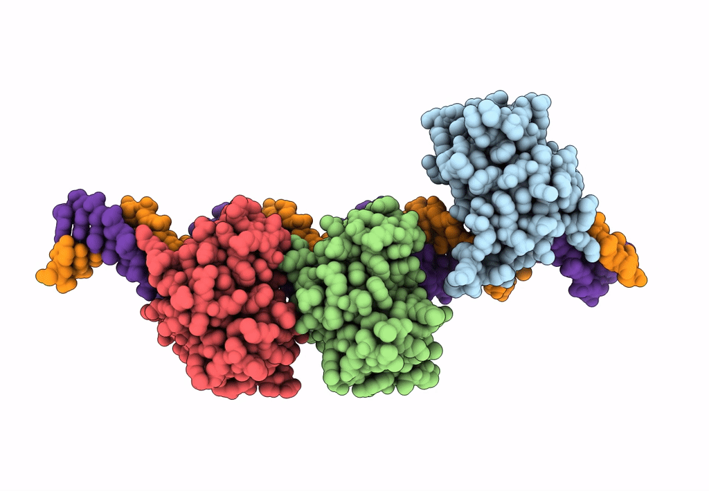 8B4D image