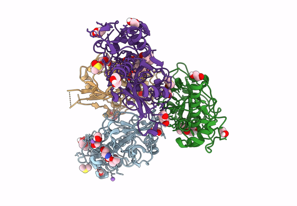 8B4F image