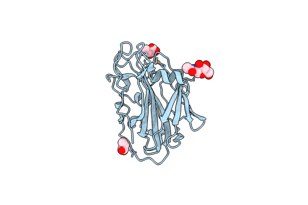 8B4G image