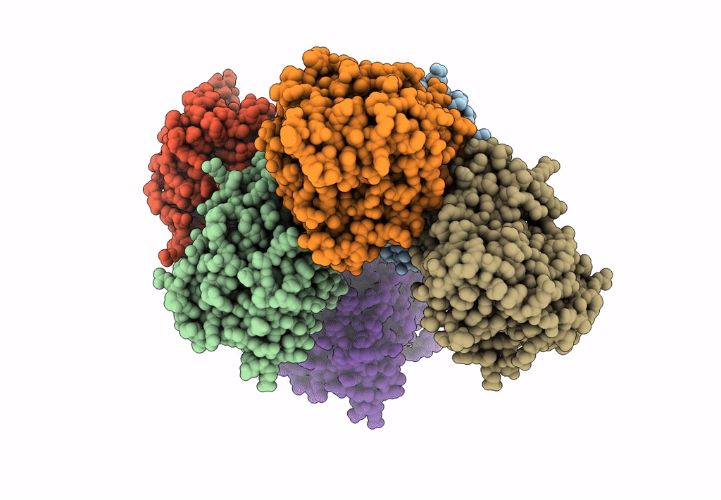 8B4L image