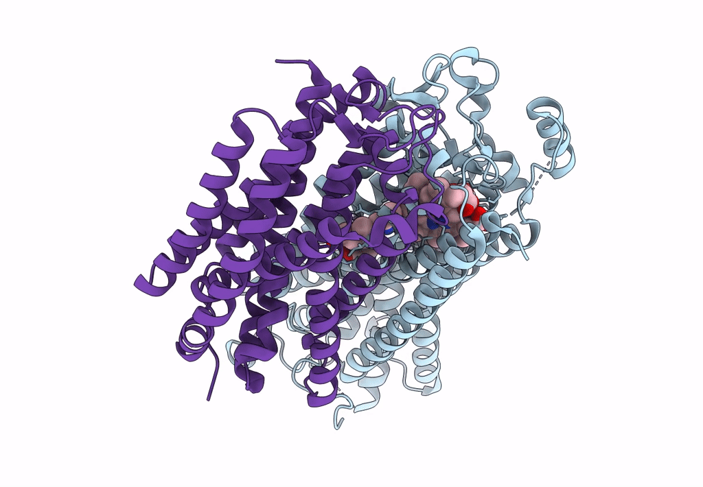 8B4O image