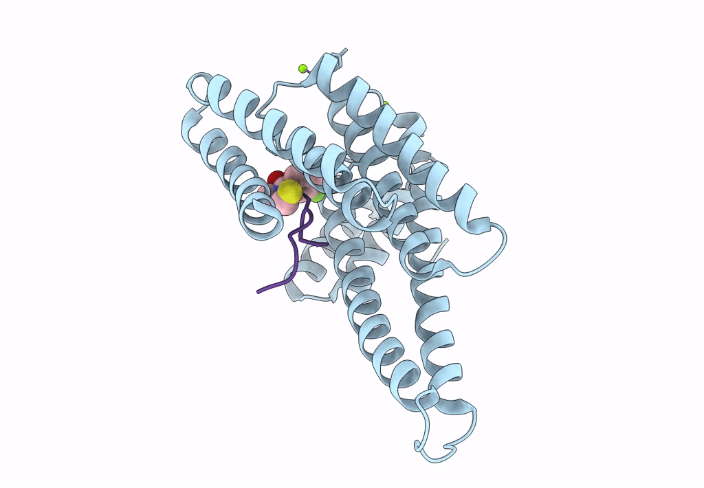 8B4Q image