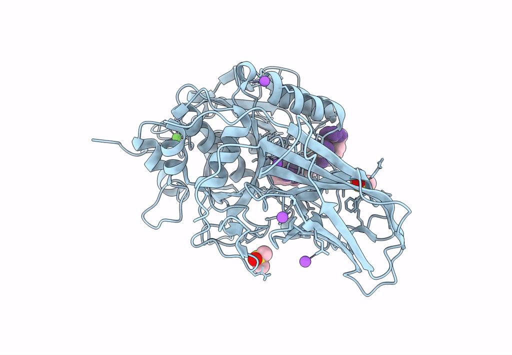 8B4X image