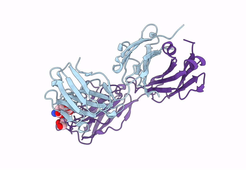 8B50 image