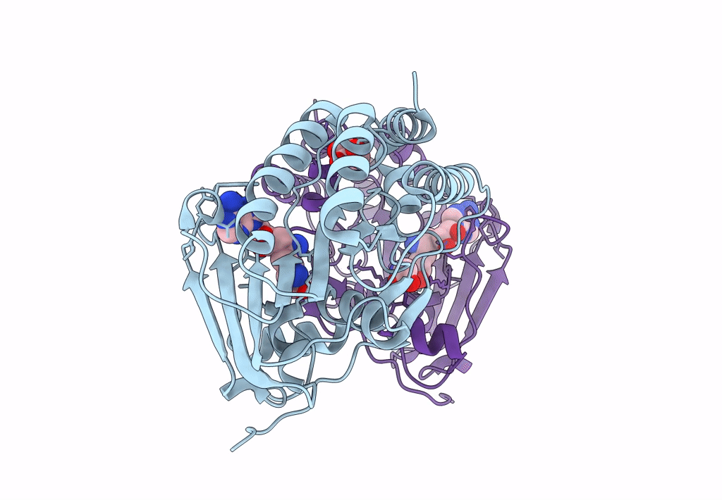 8B51 image