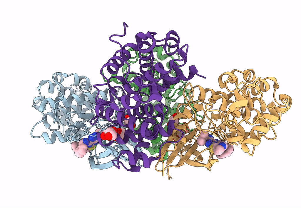 8B54 image