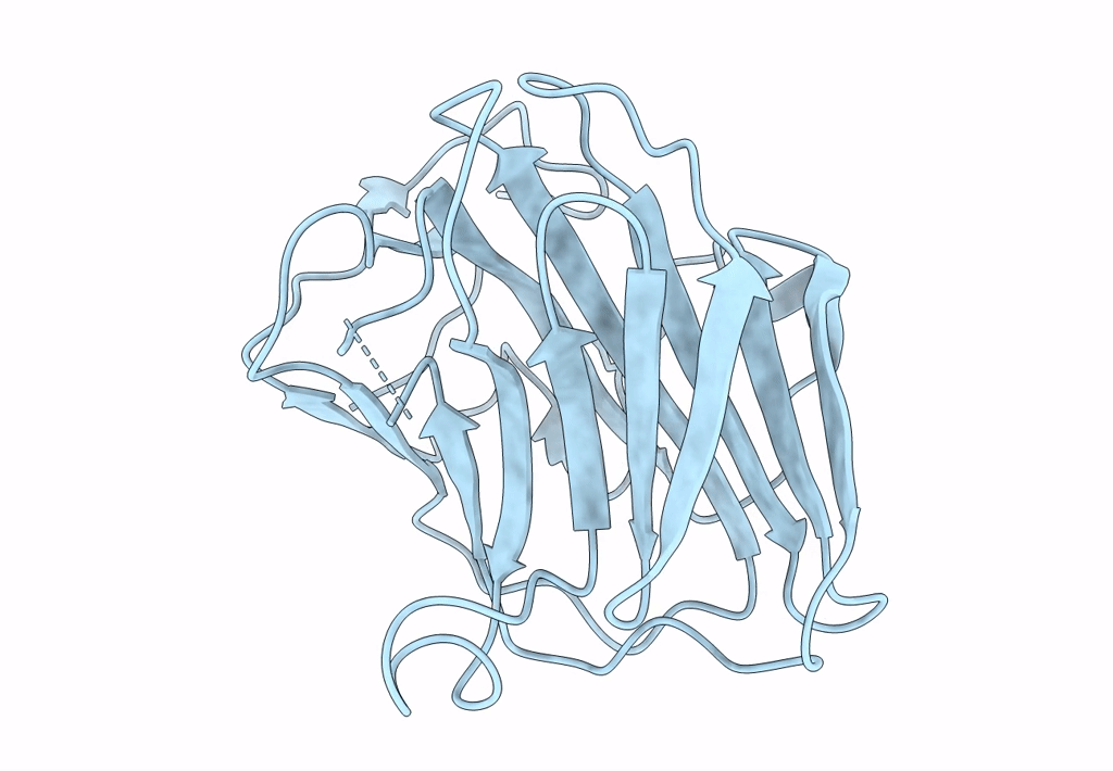 8B55 image