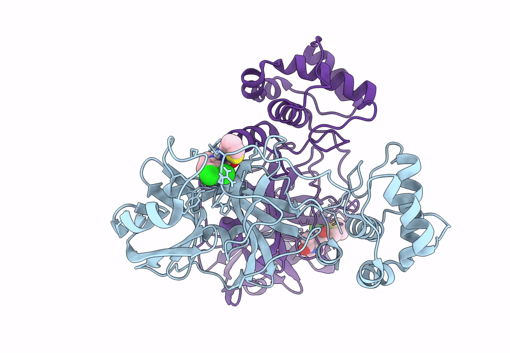 8B56 image