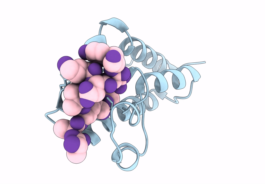 8B5A image