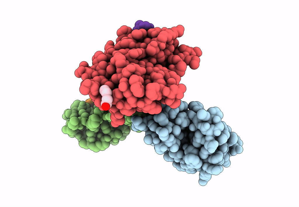 8B5B image