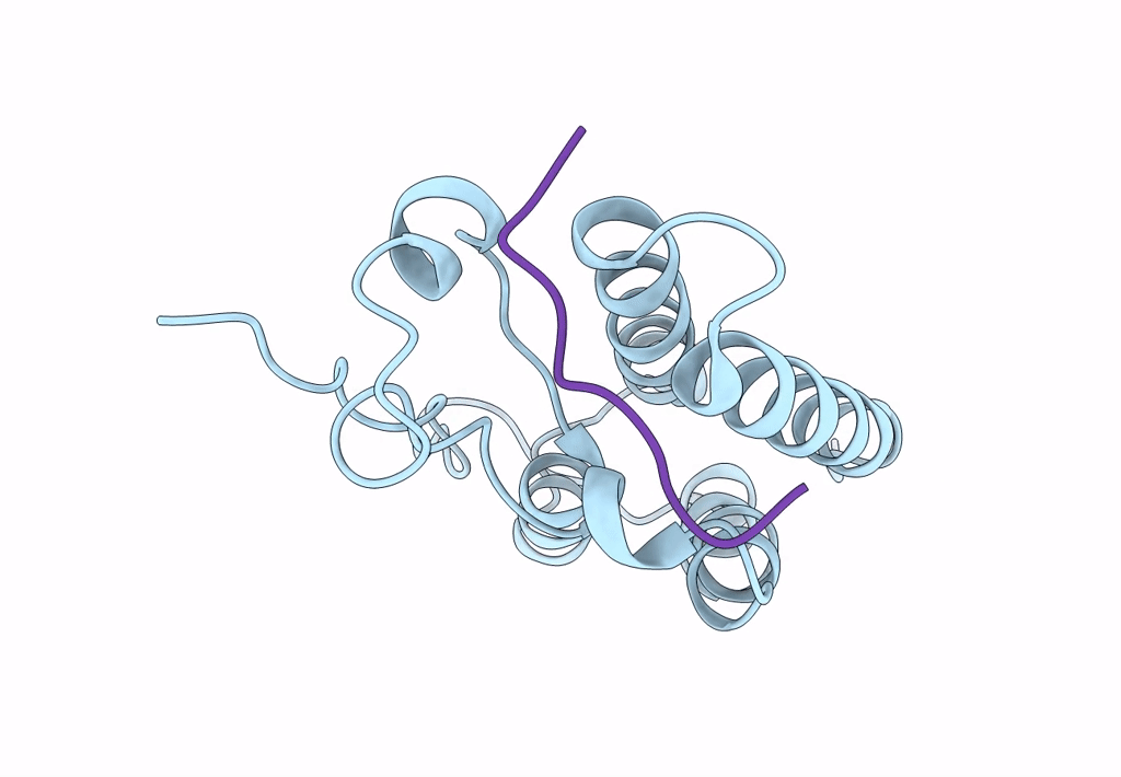 8B5C image
