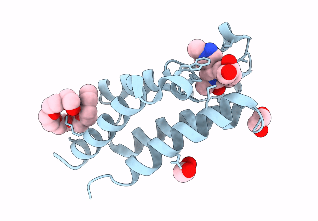 8B5H image