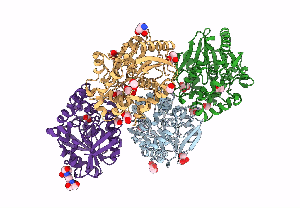 8B5K image