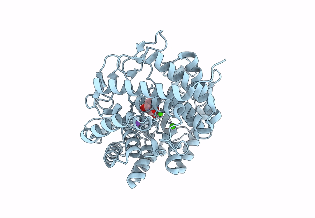 8B5M image