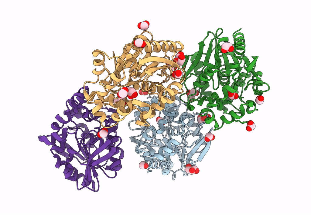 8B5O image
