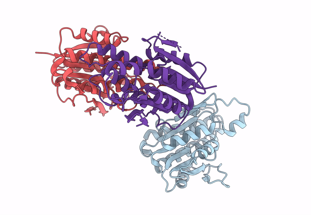 8B5T image