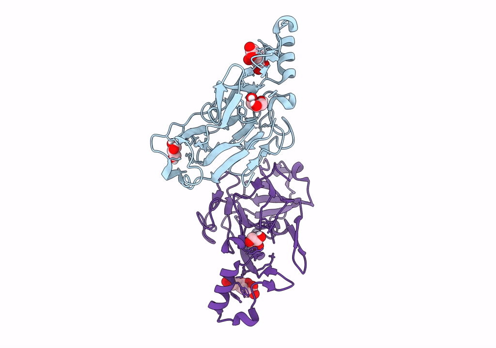 8B61 image