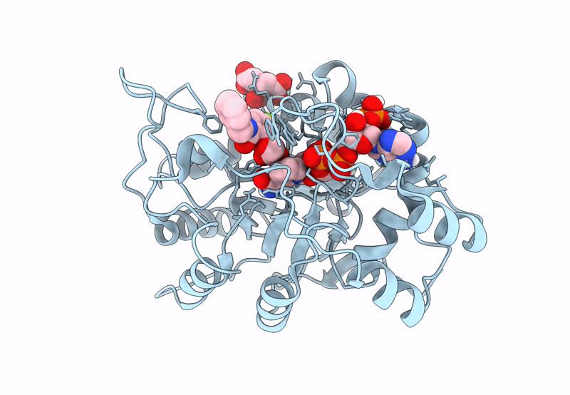 8B66 image