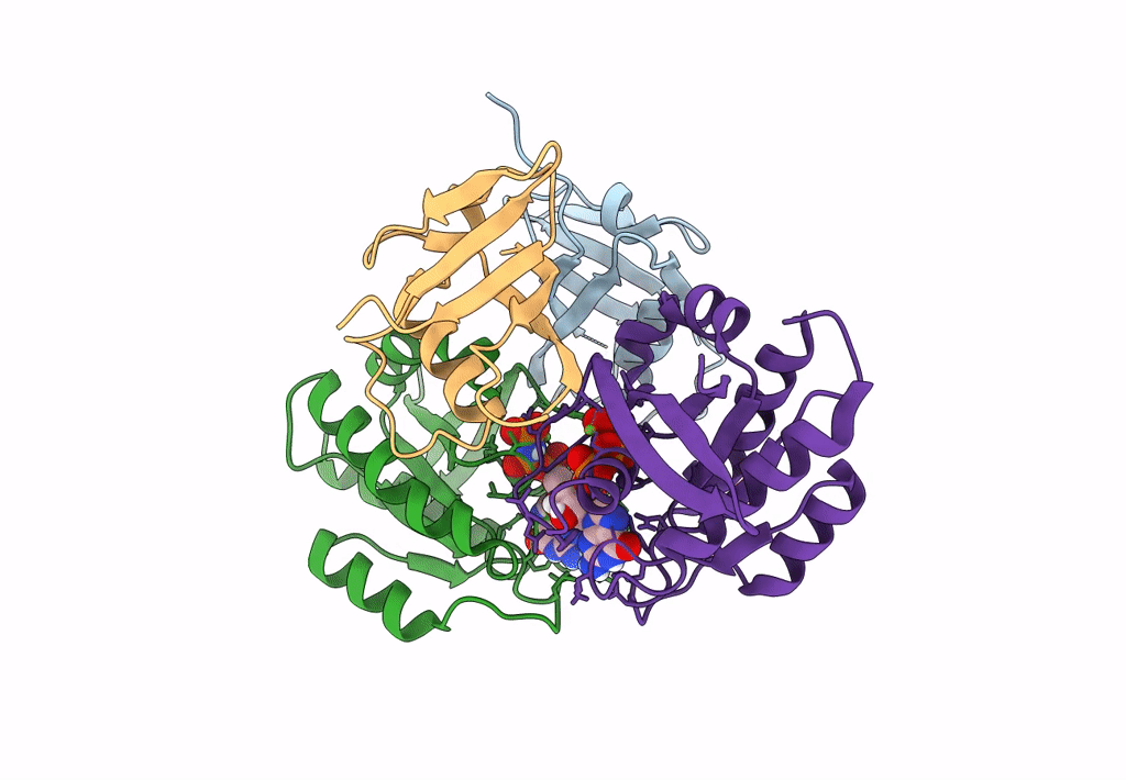8B69 image