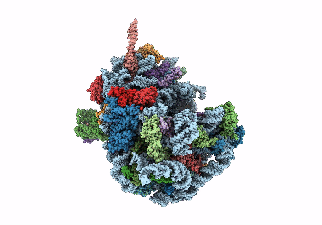 8B6C image